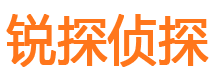 靖宇侦探公司